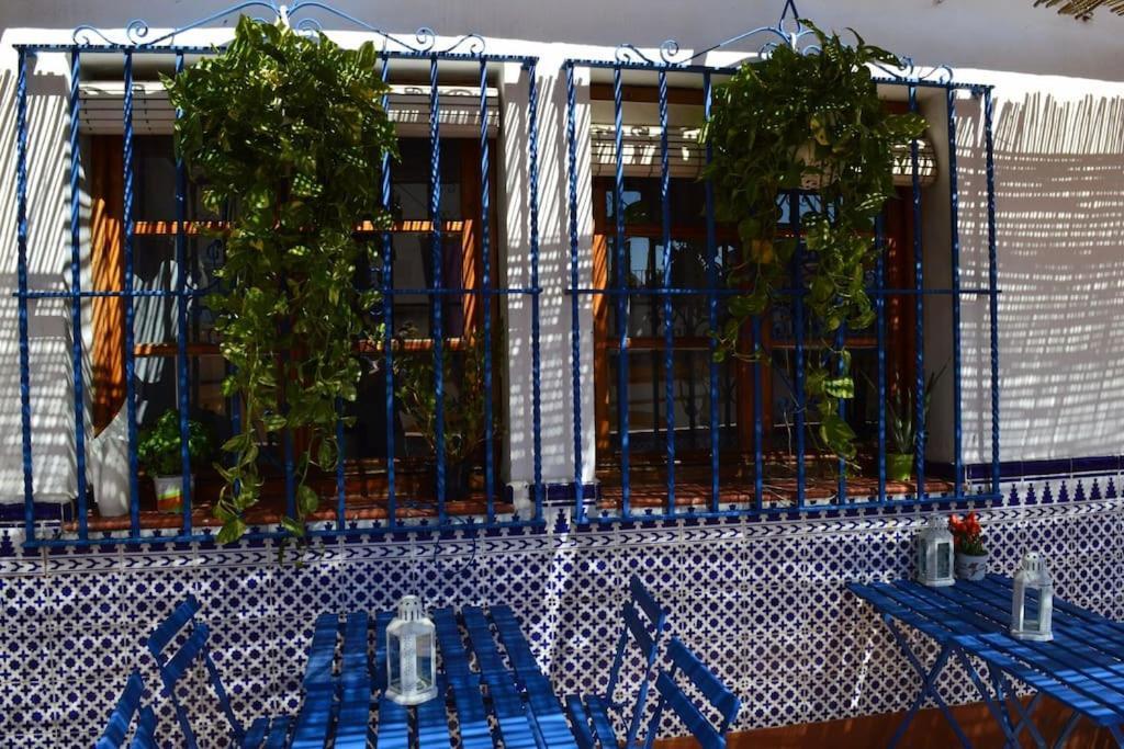 Apartamento En Sevilla Centro Con Vistas A La Plaza Alameda De Hercules - Hasta 6 Personas Экстерьер фото
